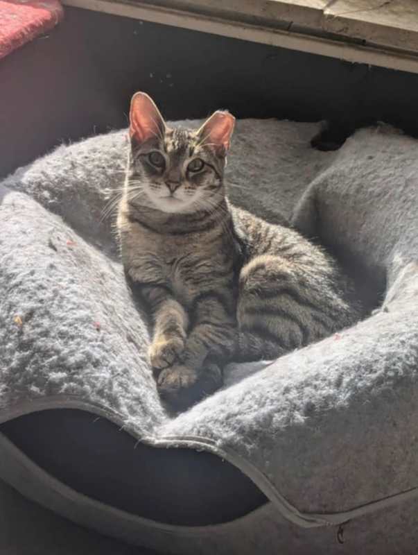 Photo of Annie #image