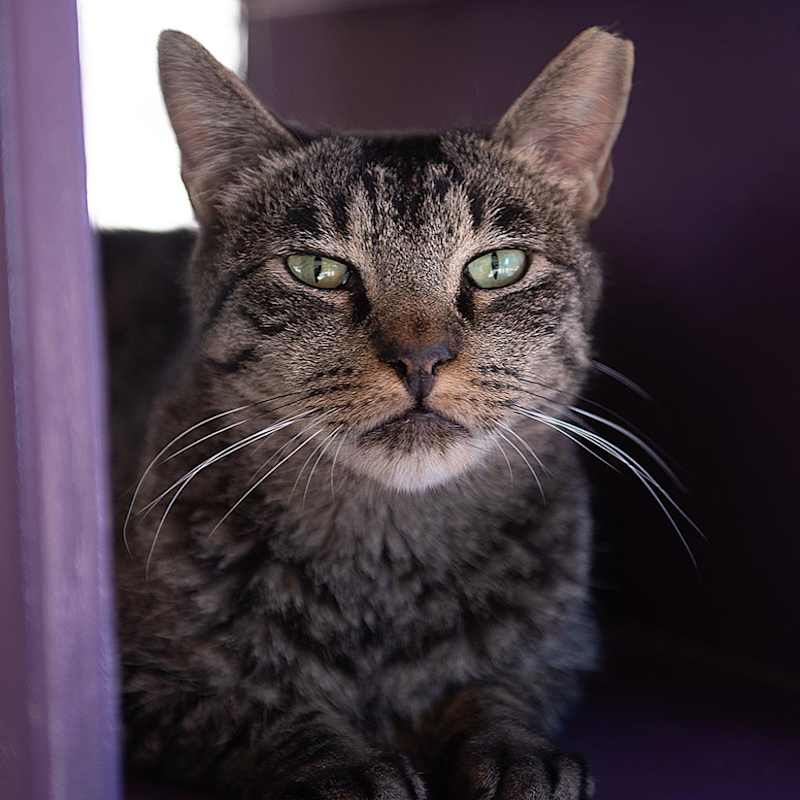 Photo of Bucky #image