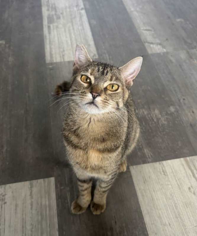 Photo of Ducky #image
