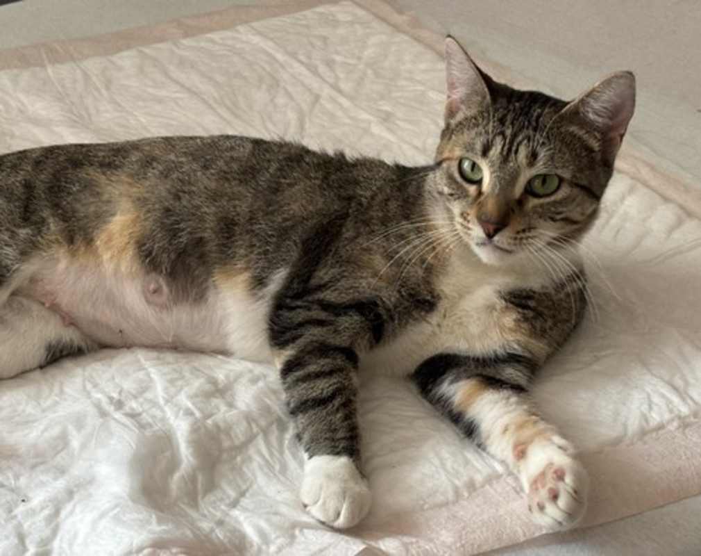 Photo of Momma Cleo #image