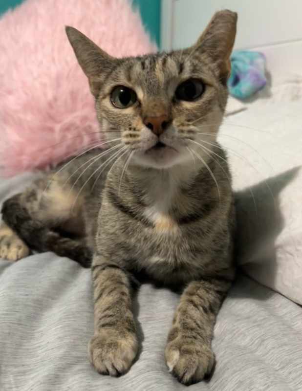 Photo of Abby #image