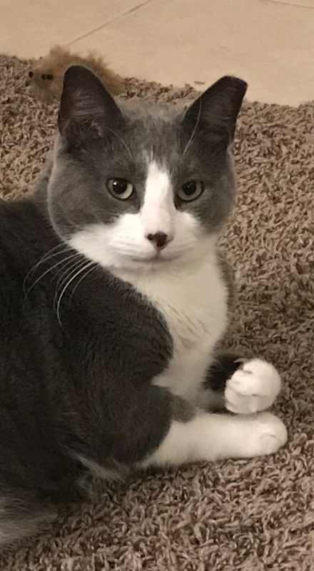 Photo of Vinny #image