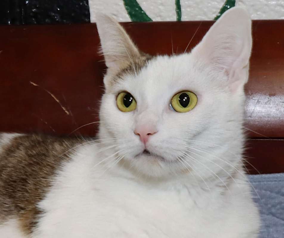 Photo of Wilma #image