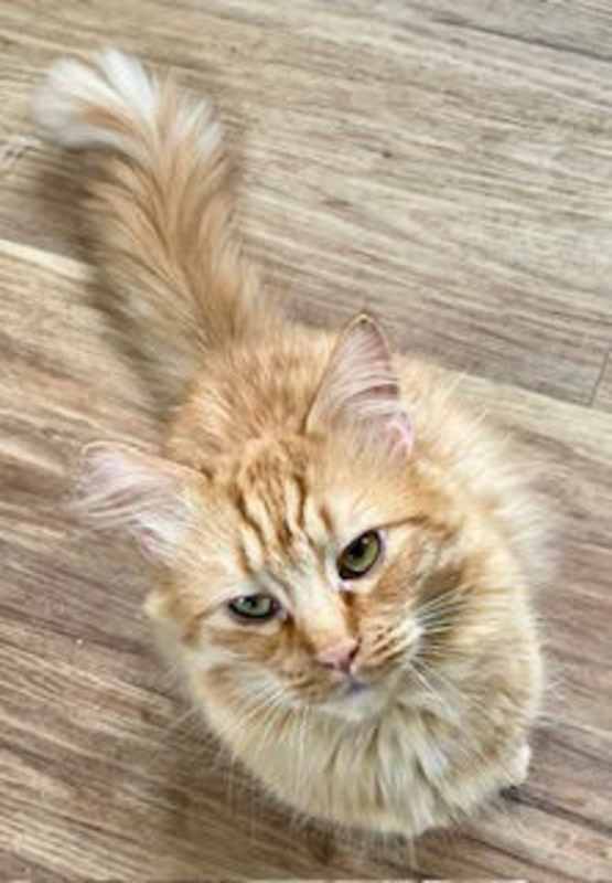 Photo of Riley #image