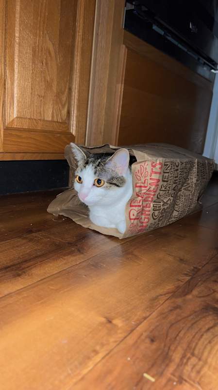 Photo of Mavis #image