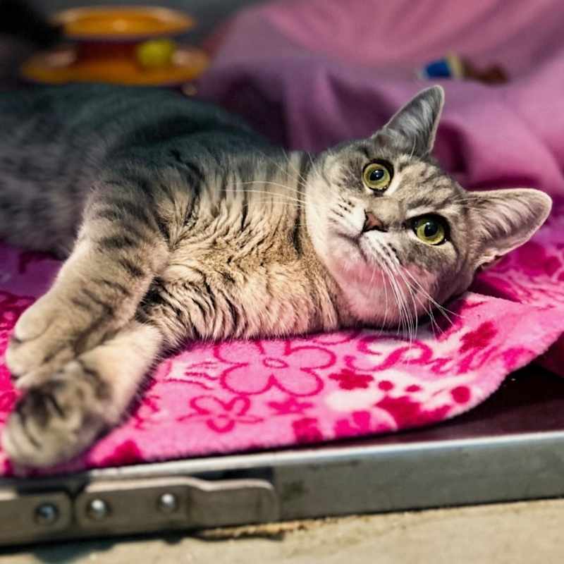 Photo of Penelope #image