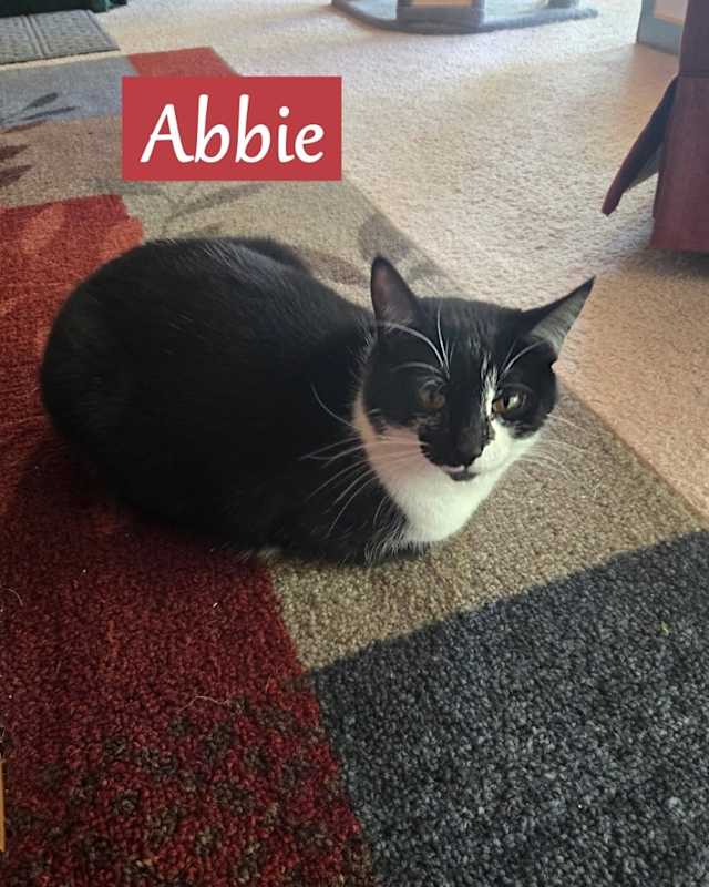 Photo of Abbie #image