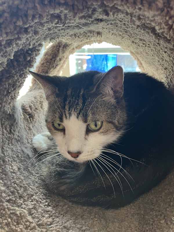 Photo of Keeba #image