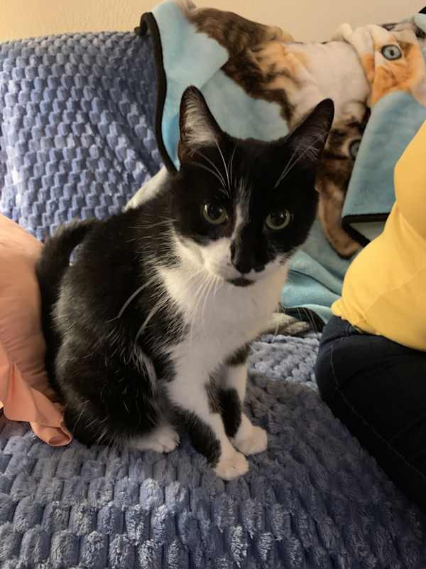 Photo of Buddy #image