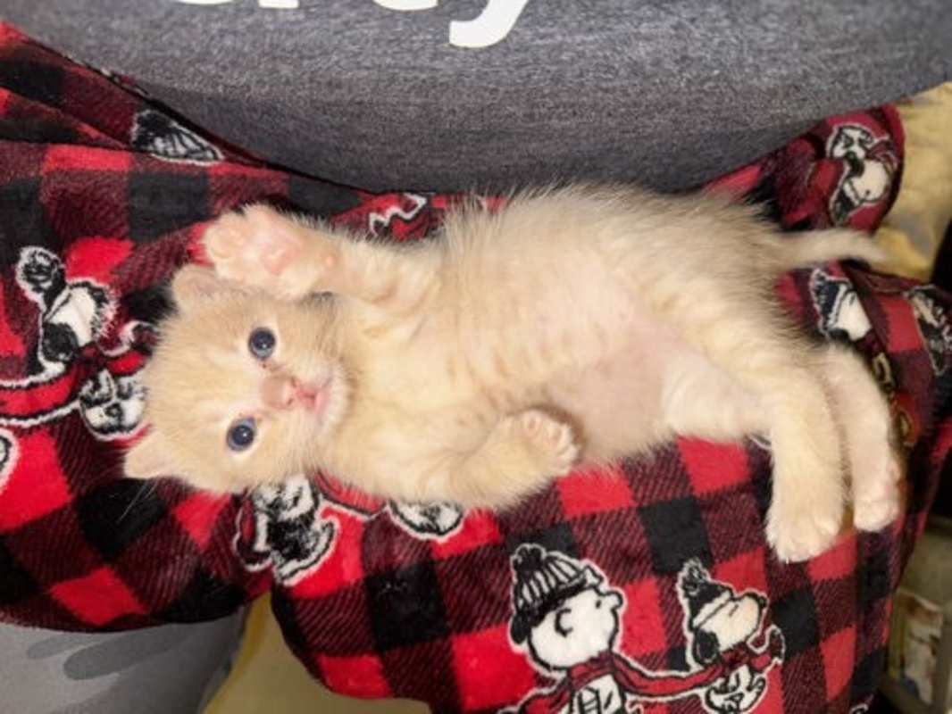 Photo of Colby #image