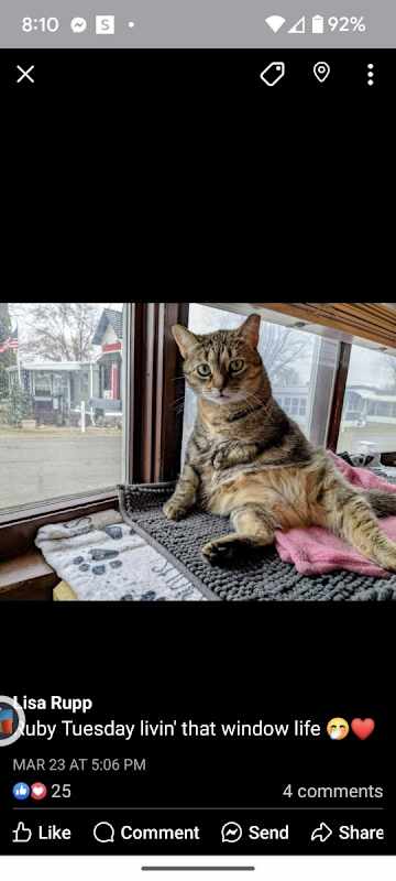 Photo of Ruby #image