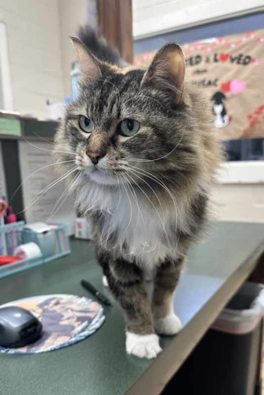 Photo of Annabelle #image