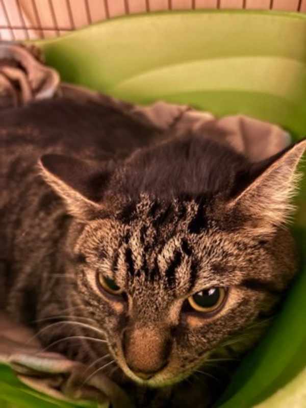 Photo of Walter (was Vincent) #image