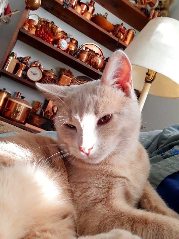Photo of Rudy #image
