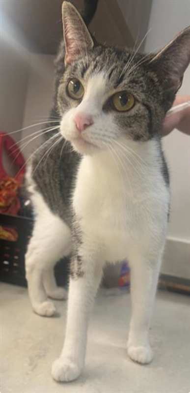 Photo of BETTY #image