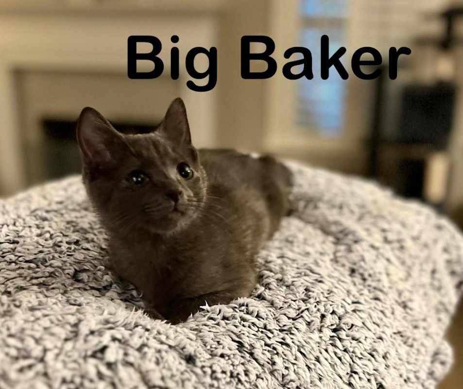 Photo of Big Baker #image