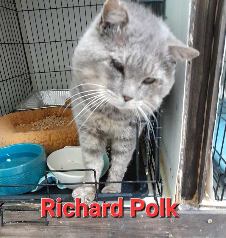 Photo of Richard Polk #image