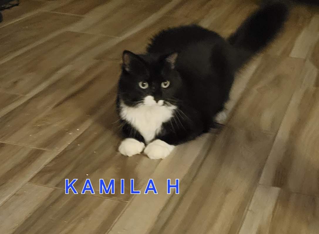 Photo of Kamilah #image