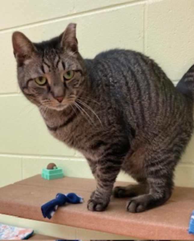 Photo of Jasper #image