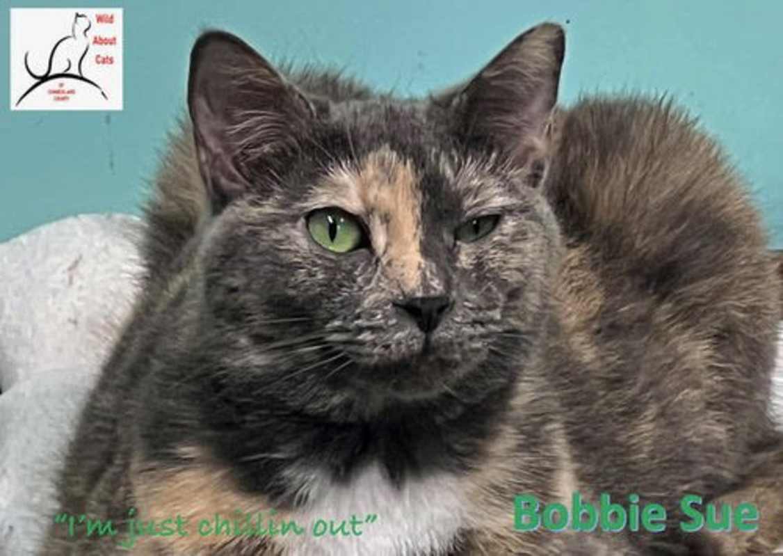 Photo of Bobby Sue #image