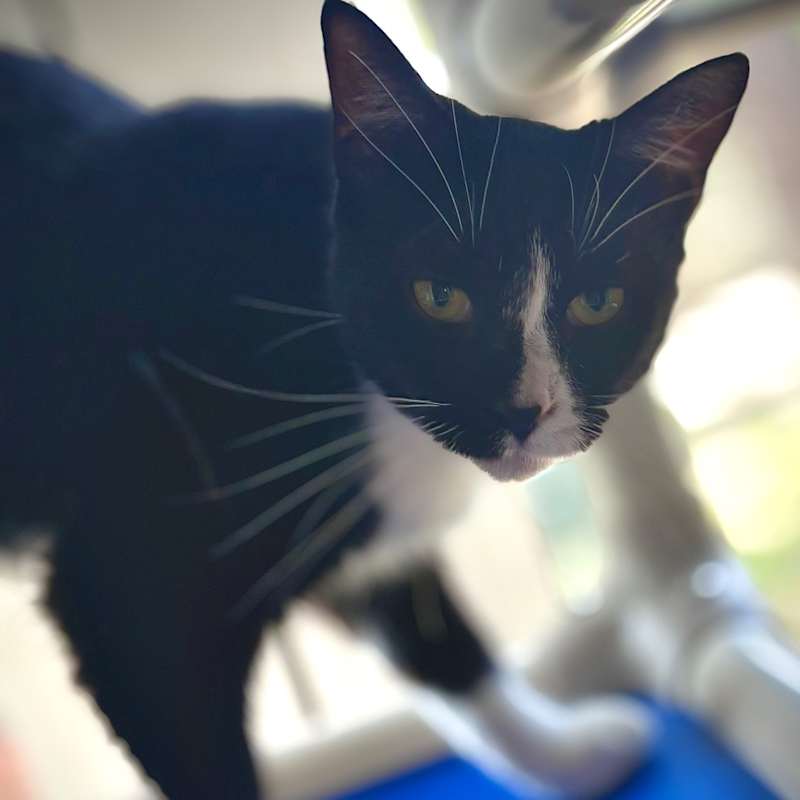 Photo of Samantha #image