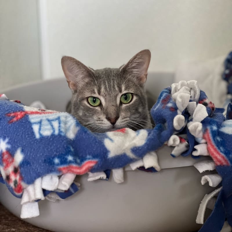 Photo of Lauren #image