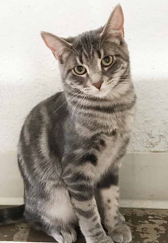 Photo of Wiggles #image