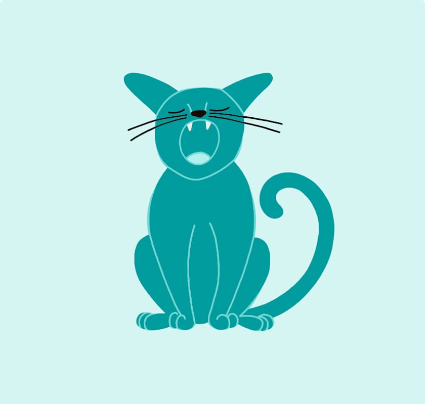 Photo of Mazey #image