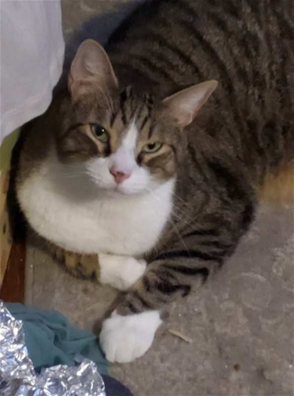 Photo of Lucky R #image