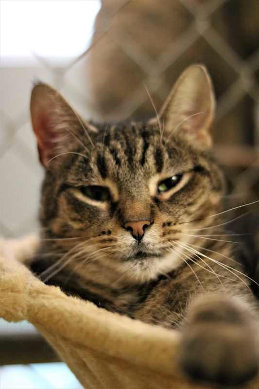 Photo of Delilah #image