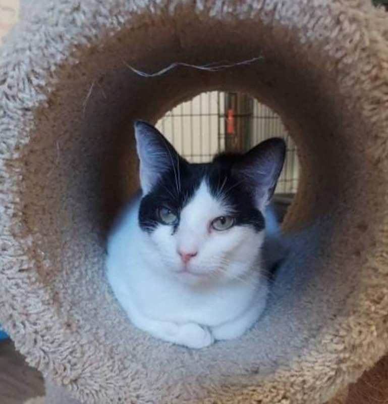 Photo of Penelope #image