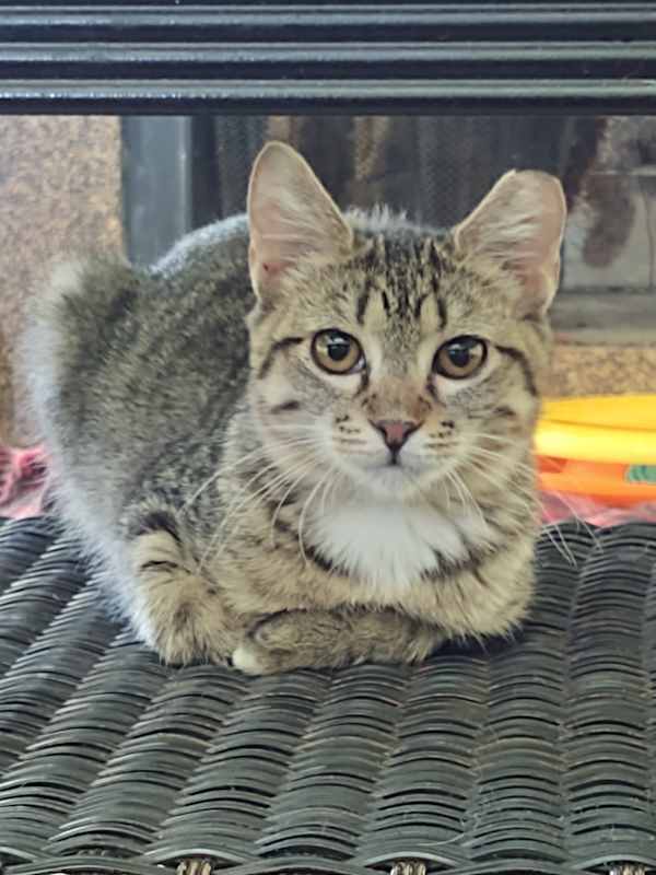 Photo of Meredith #image