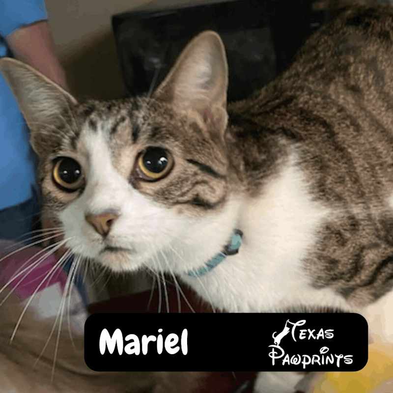 Photo of Mariel #image