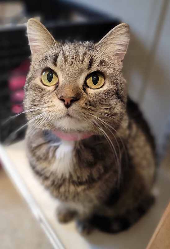 Photo of Missy #image