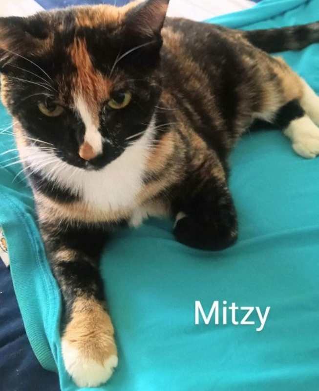 Photo of Mitzi #image
