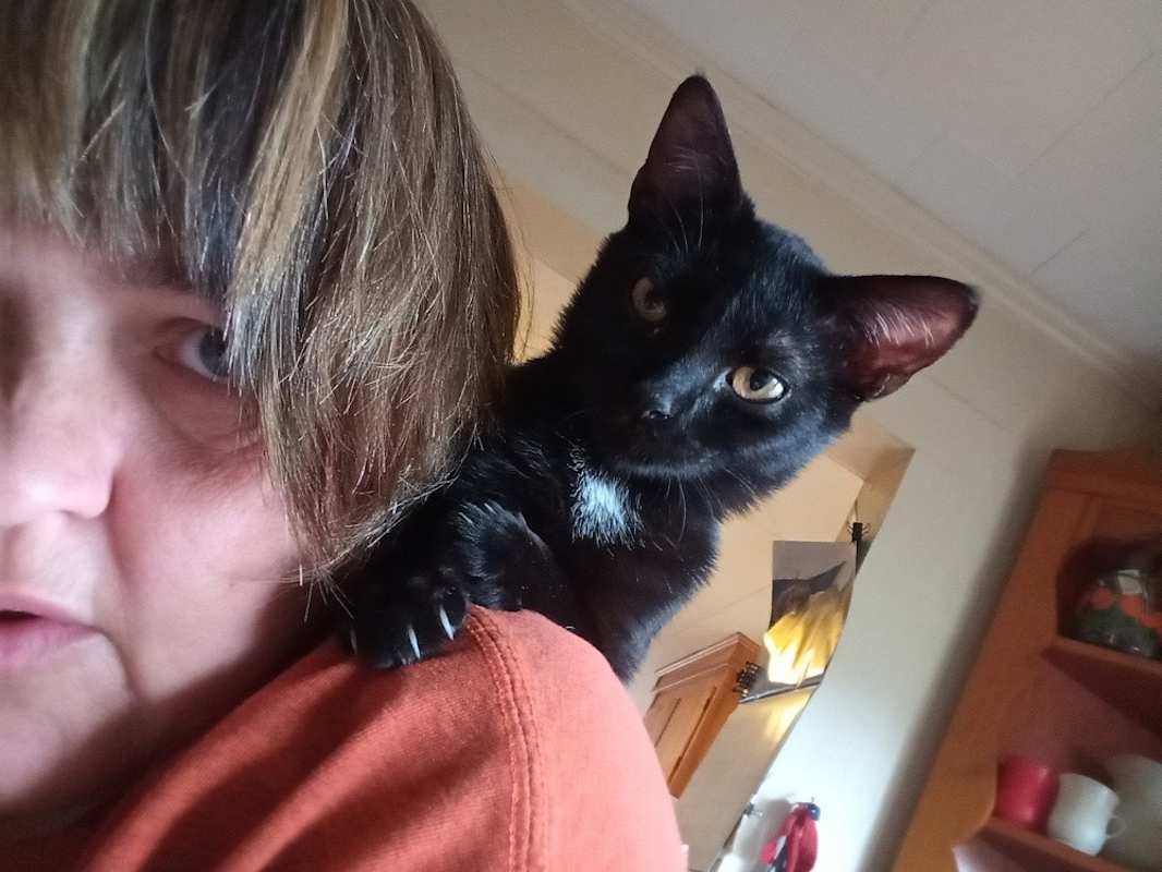 Photo of Ernie #image