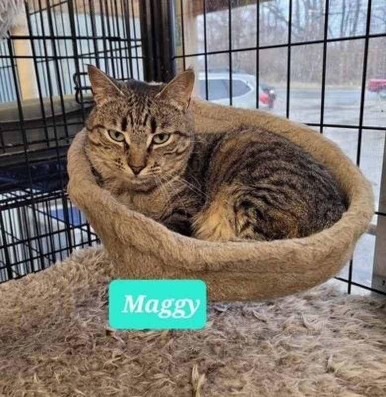 Photo of Maggy-Sponsored #image