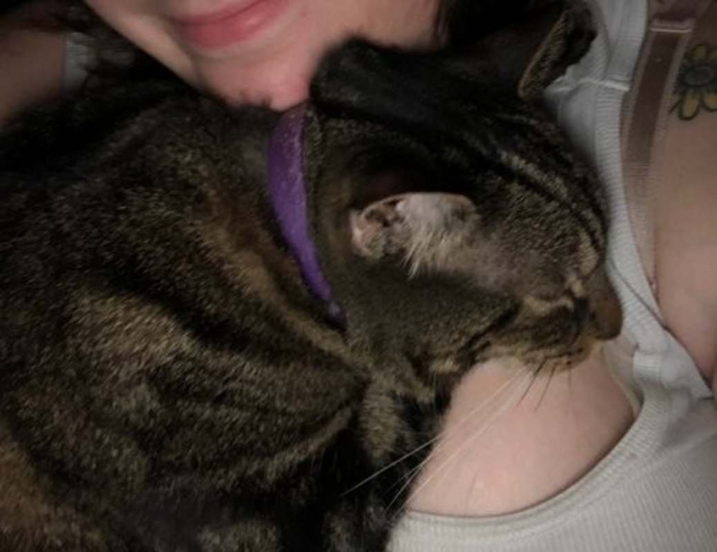 Photo of DUNKIN (COURTESY POST) #image