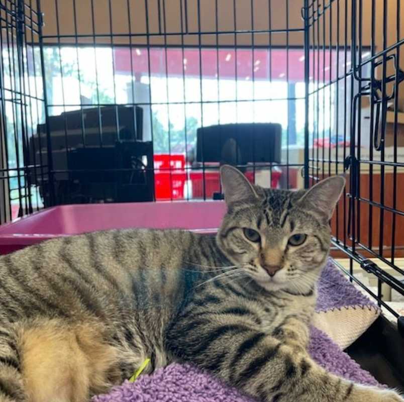 Photo of Hailey #image