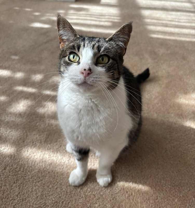 Photo of Felicity TCC #image