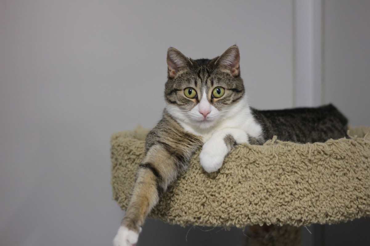 Photo of Hannah (sponsored) #image