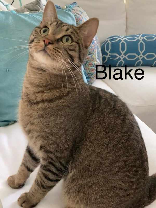 Photo of Blake #image