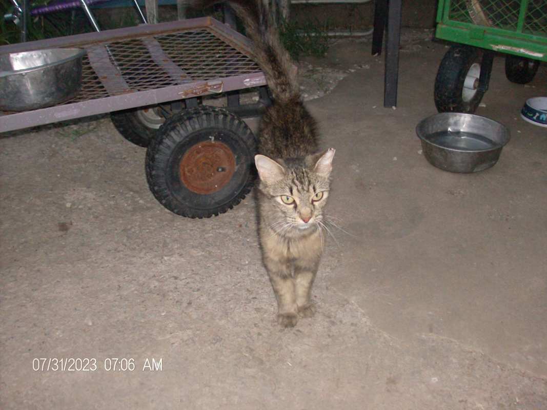Photo of JUNIPER #image