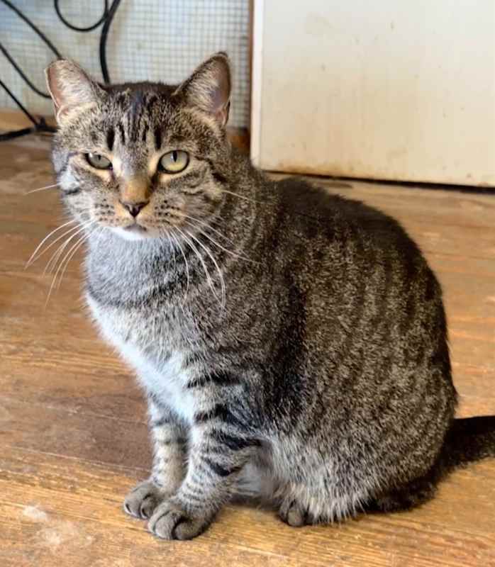 Photo of Maggie #image