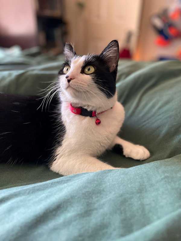 Photo of Phoebe Ann #image