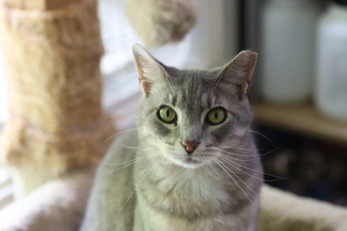 Photo of Allie #image