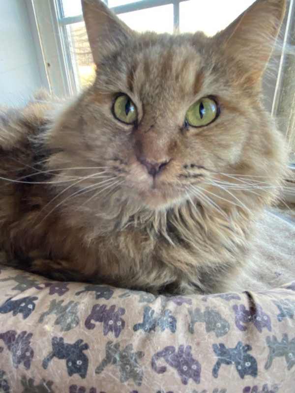 Photo of Mollie #image