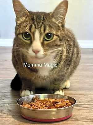 Photo of Magic #image