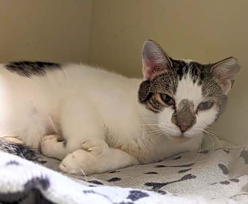 Photo of 117 Melvin #image