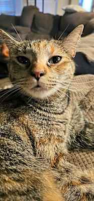 Photo of Mueschka #image